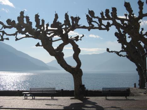 Tessin 087.jpg   28kb   26.03.2021 22:35:17